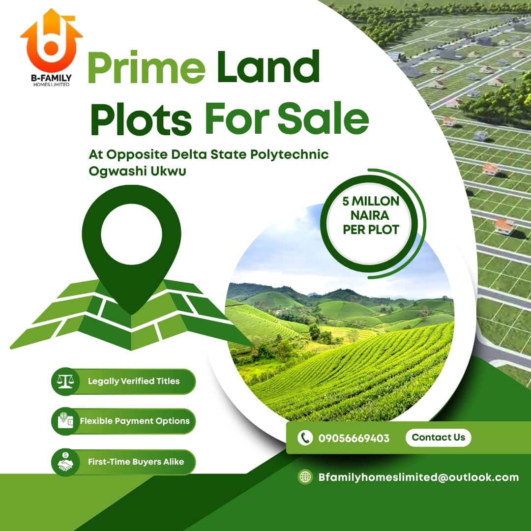 Twelve plots of land - Photo 1